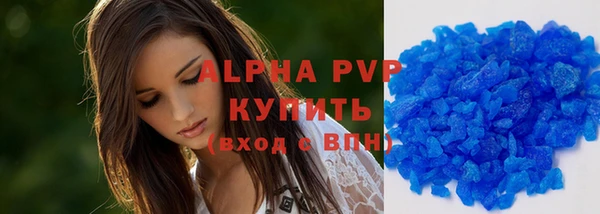 стаф Сосновый Бор