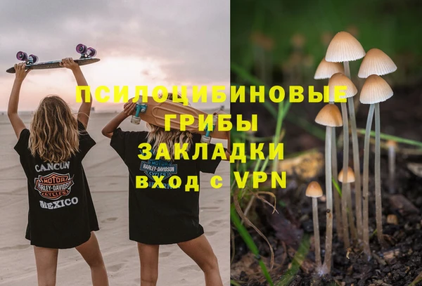 винт Медвежьегорск
