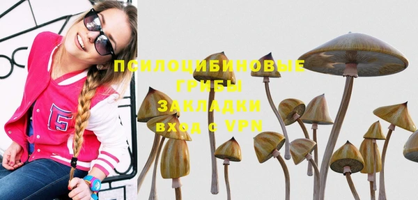 винт Медвежьегорск