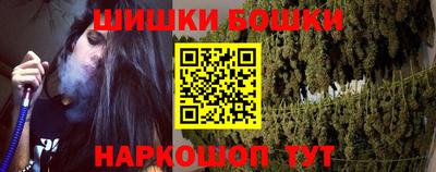 МДПВ Славгород