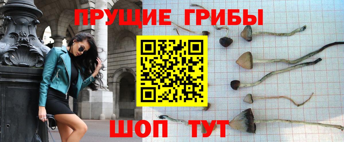 цена наркотик  Галлюциногенные грибы ЛСД  Галлюциногенные грибы Cubensis  Вход с VPN  Одинцово 